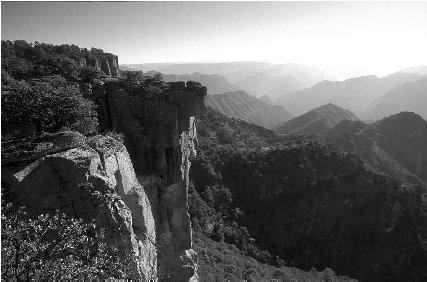 &#x00A9; Peter Langer/EPD Photos Copper Canyon.