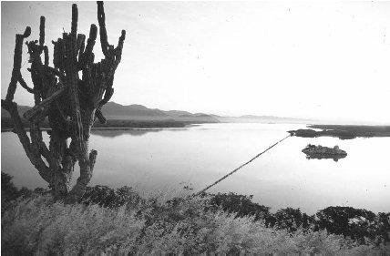 &#x00A9; Robert Frerck/Woodfin Camp The Cuyutl&#x00E1;n Lagoon is a large saltwater lagoon on the Pacific coast. It is used for salt production.