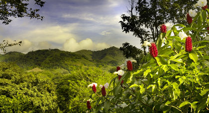Costa Rica Environment 1365
