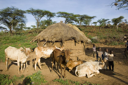 Kenya Housing 2045