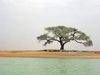 Mali Climate 1325