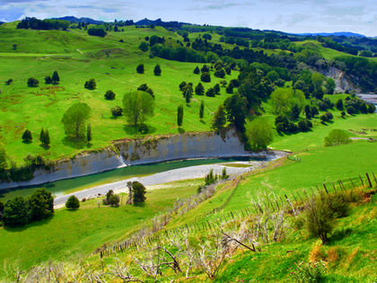 New Zealand Environment 1408