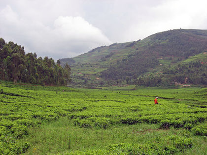 Rwanda Agriculture 1971