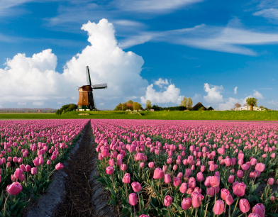 Vacation and Travel to Netherlands