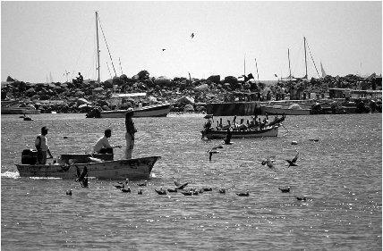 &#x00A9; Peter Langer/EPD Photos Coastline near Nuevo Vallarta, a resort city.