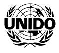 The United Nations Industrial Development Organization (UNIDO)