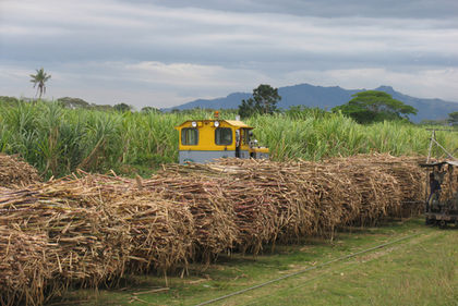 Fiji Agriculture 2010