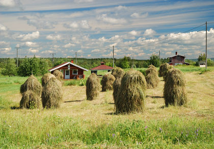 Finland Agriculture 2032