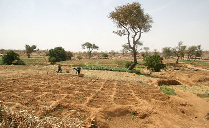 Mali Agriculture 1768
