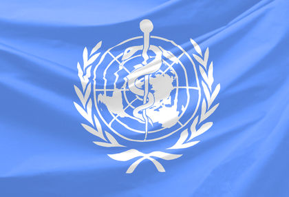 The World Health Organization Who Activities 1648